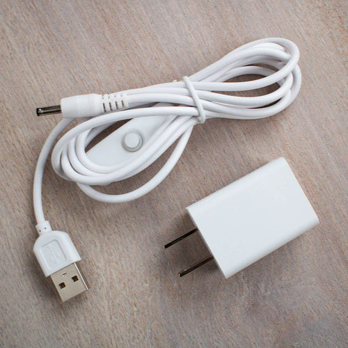 White USB power cord with inline switch and white wall plug adapter on light wood surface