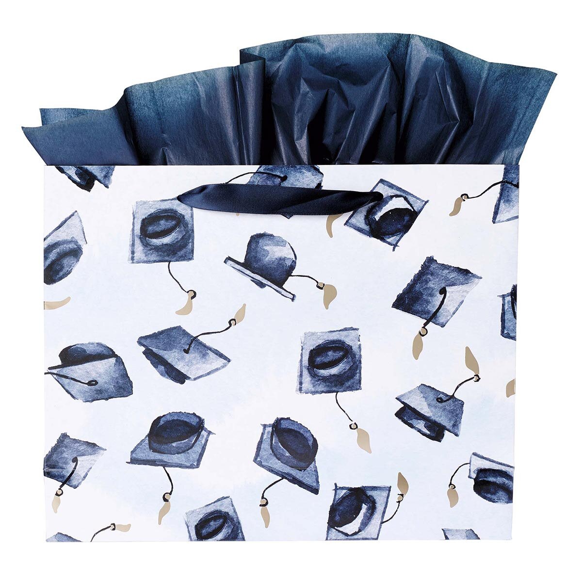 Hope & a Future Large Blue Gift Bag Set for Graduates with Card and Envelope - Jeremiah 29:11 - JMJs Catholic Store, Inc