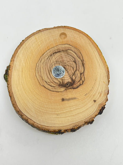 Back view of round Bethlehem olive wood magnet plaque with natural bark edge and strong central magnet