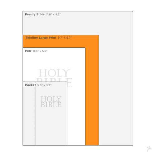 Size comparison chart showing Family, Thinline Large Print, Pew, and Pocket Holy Bible dimensions in inches