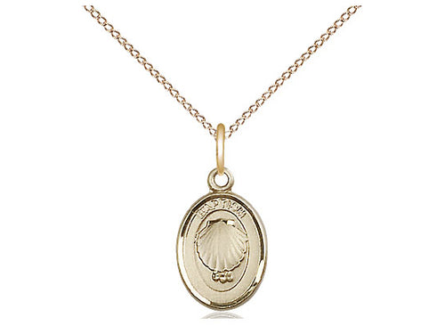 14kt Gold Filled Baptism Pendant on a 18 inch Gold Filled Light Curb Chain - Unique Catholic Gifts
