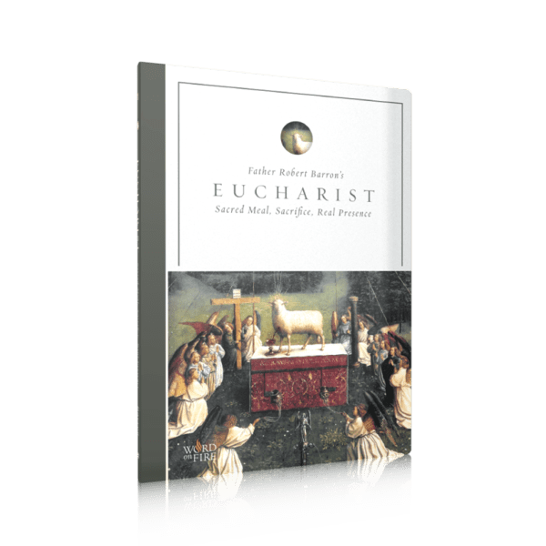 Eucharist by Bishop Barron - Unique Catholic Gifts
