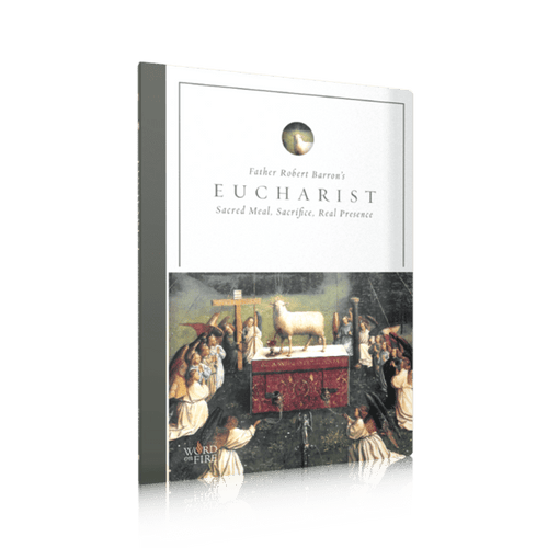 Eucharist by Bishop Barron - Unique Catholic Gifts